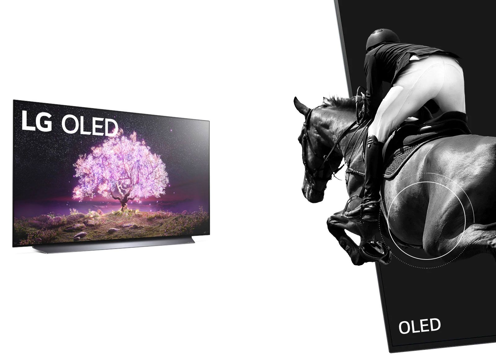 تلویزیون هوشمند OLED ال جی مدل 55C1